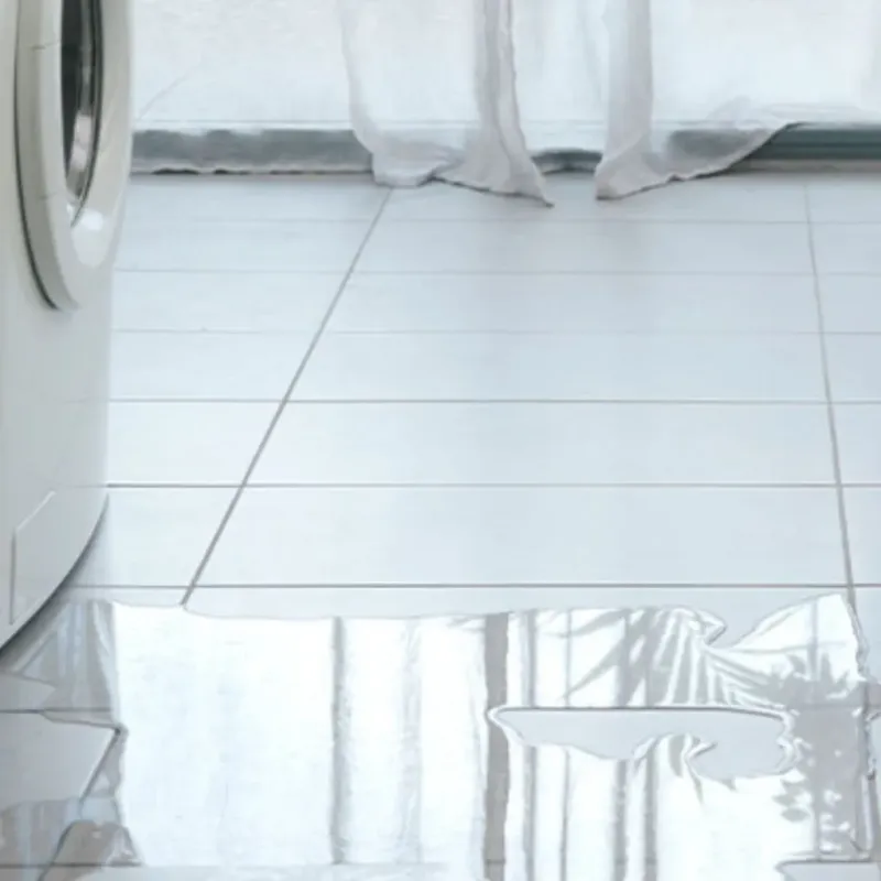 Appliance Leak Cleanup in Jarrell, TX