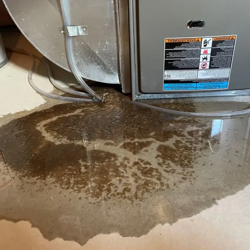 Pipe Burst and Leak Restoration in Jarrell, TX