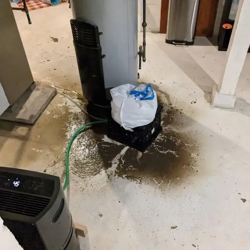 Sewage Backup Cleanup Service in Jarrell, TX